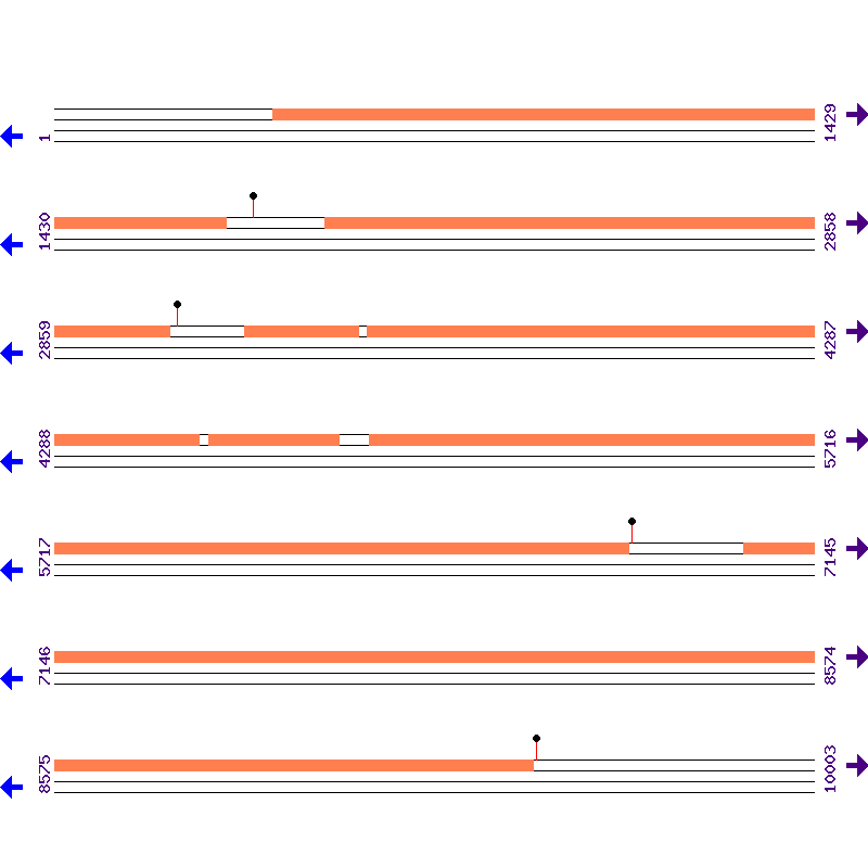 Genome View