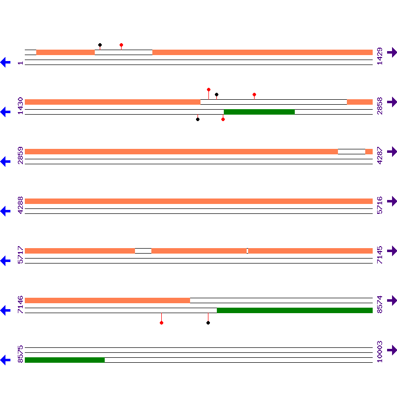 Genome View