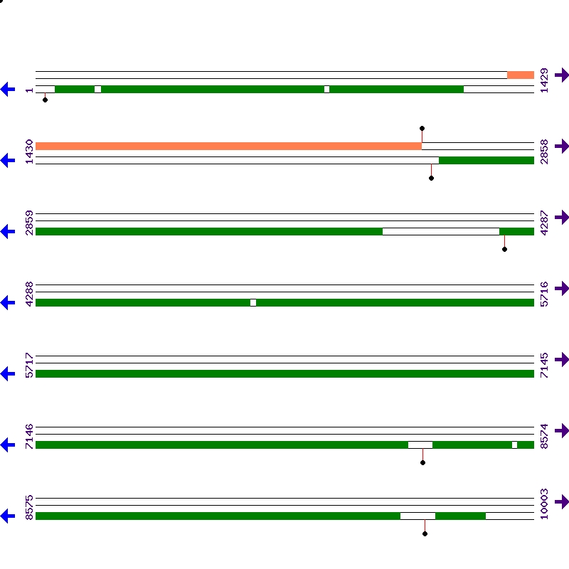 Genome View