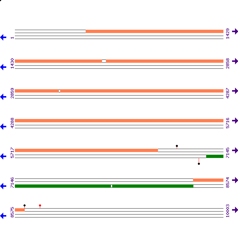 Genome View