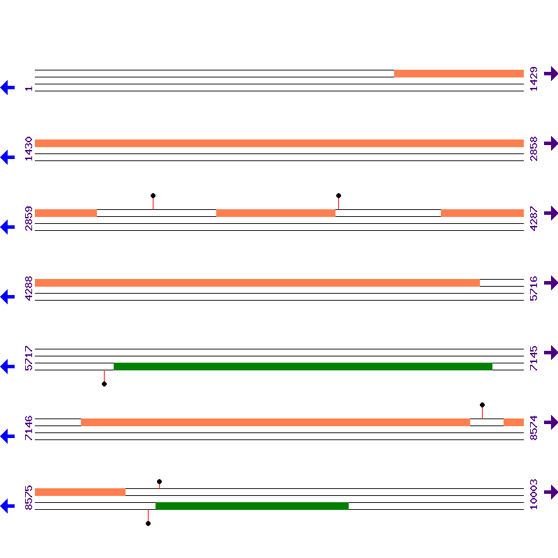 Genome View