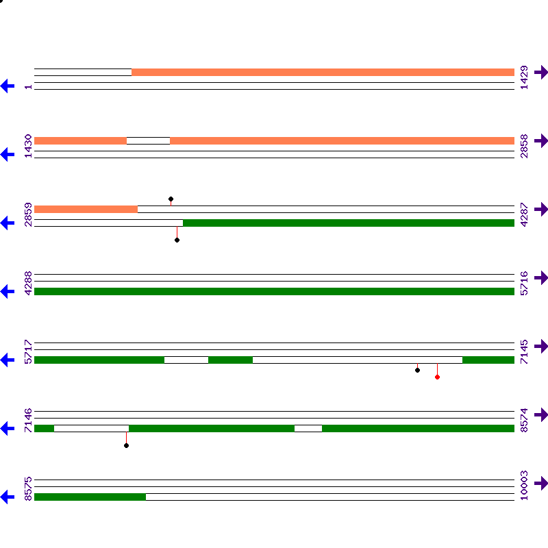 Genome View