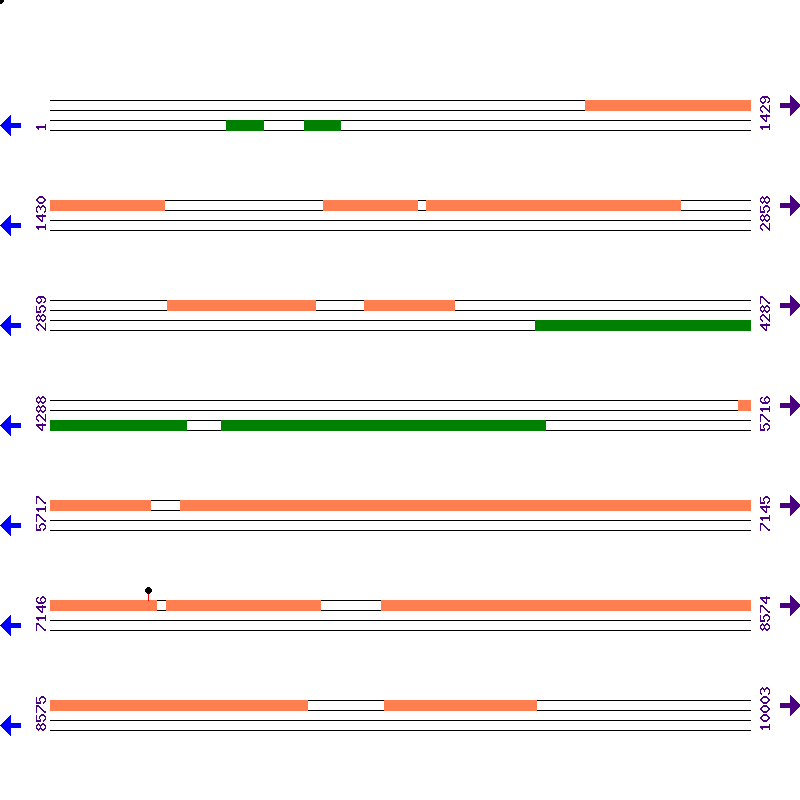 Genome View