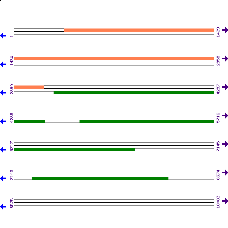 Genome View