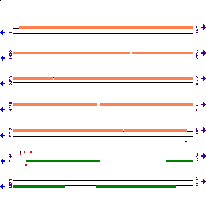 Genome View