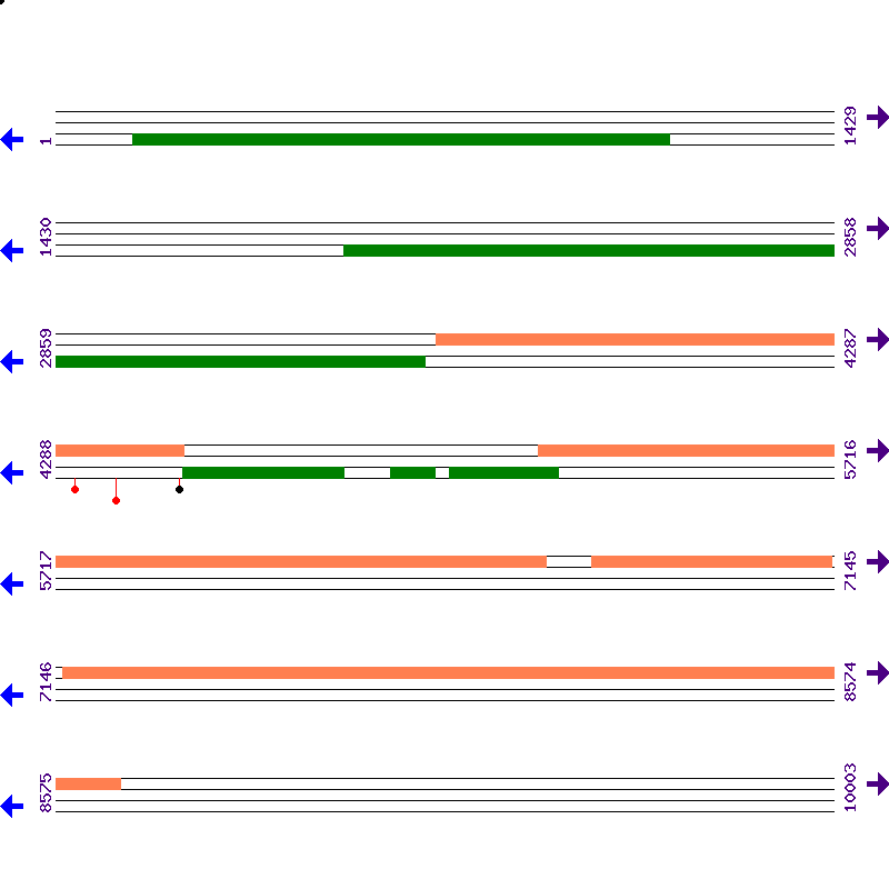 Genome View