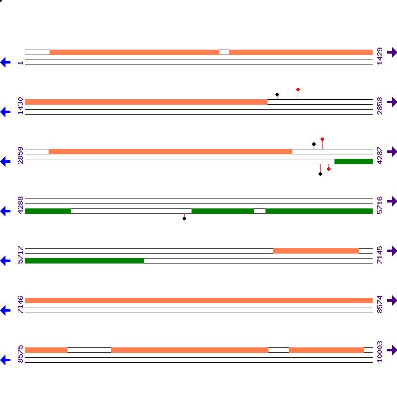 Genome View