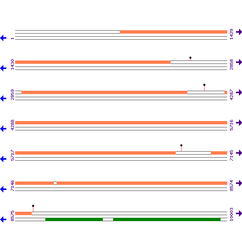 Genome View