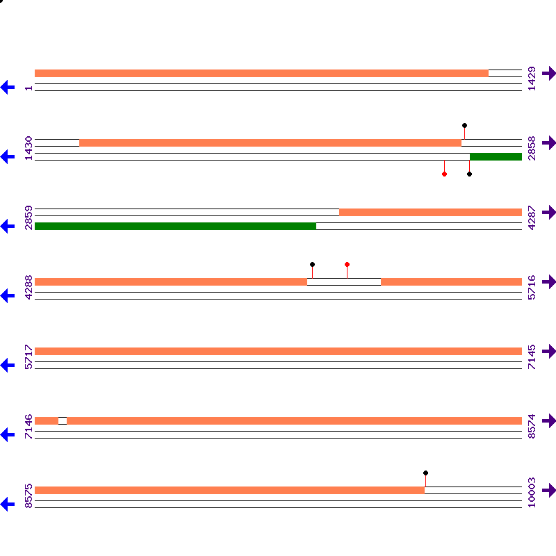 Genome View