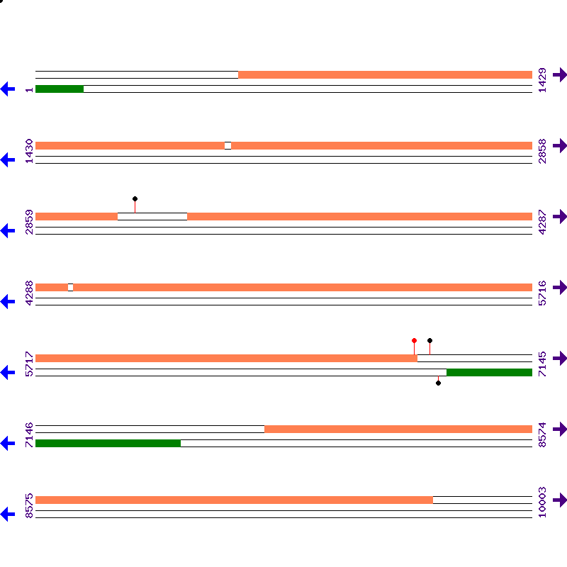 Genome View