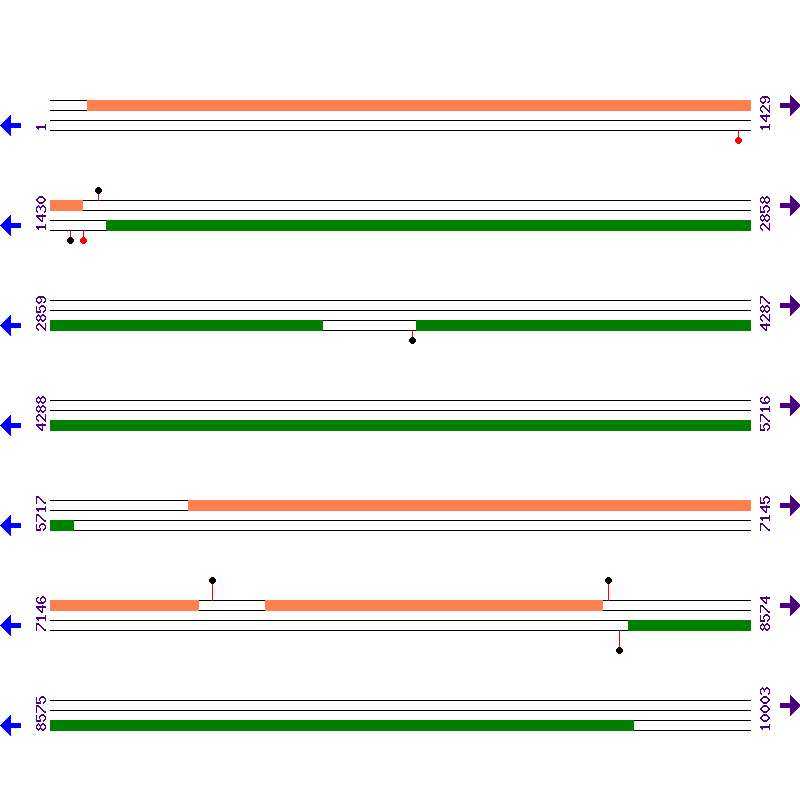 Genome View