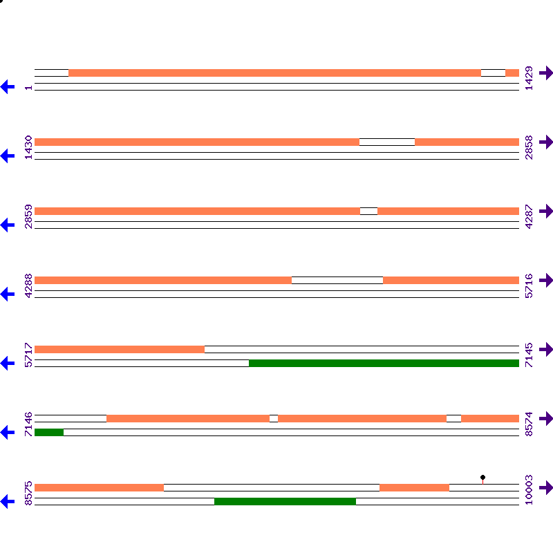 Genome View