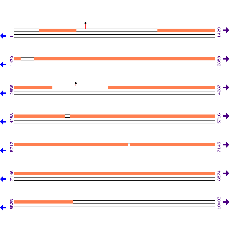 Genome View