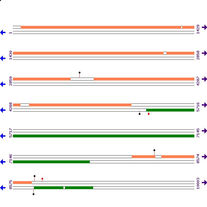 Genome View