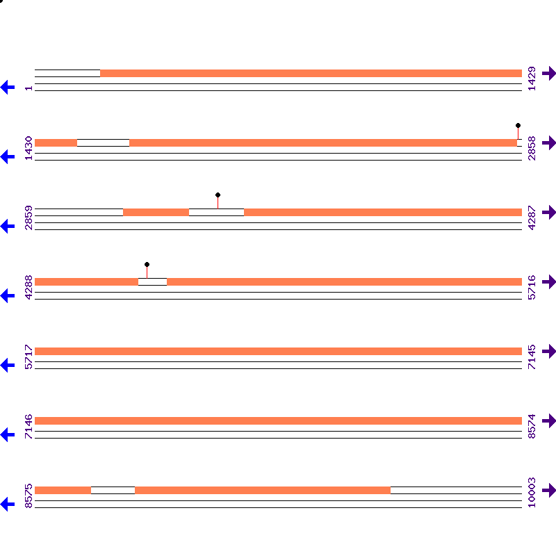 Genome View
