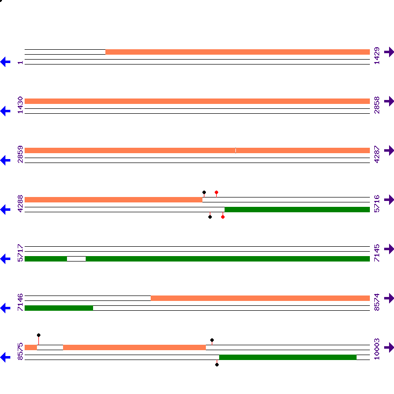 Genome View