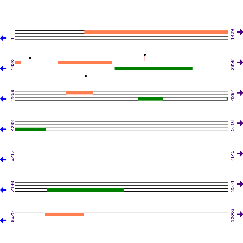 Genome View