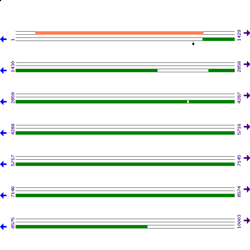 Genome View