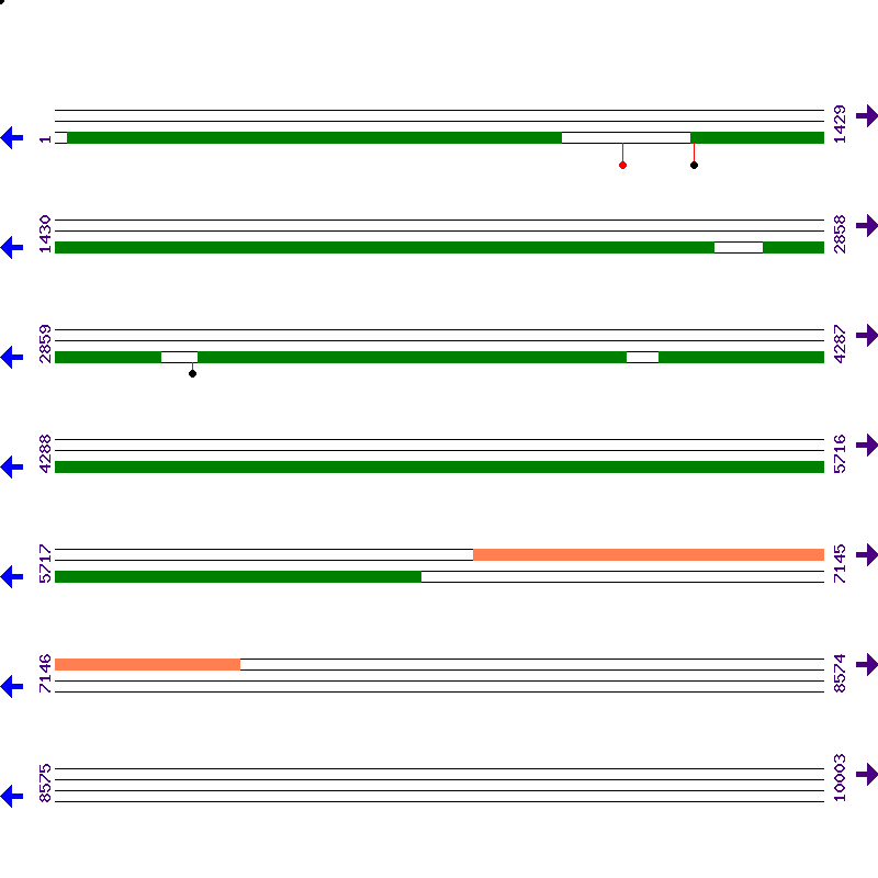 Genome View