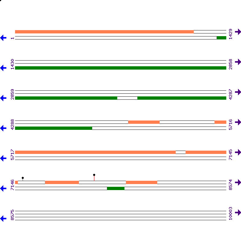 Genome View
