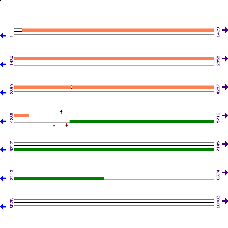 Genome View