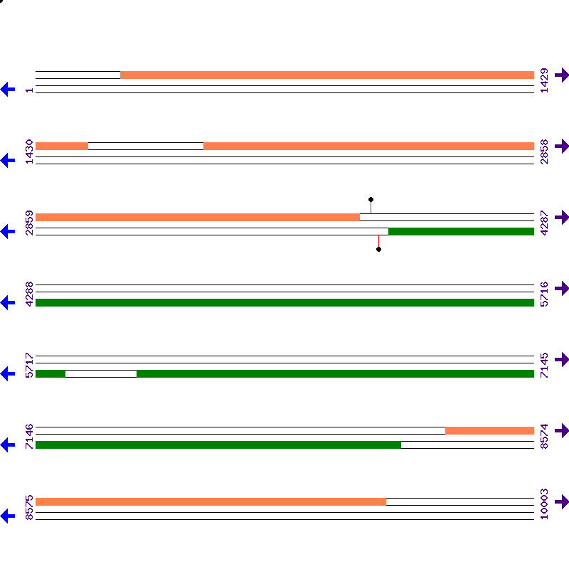 Genome View