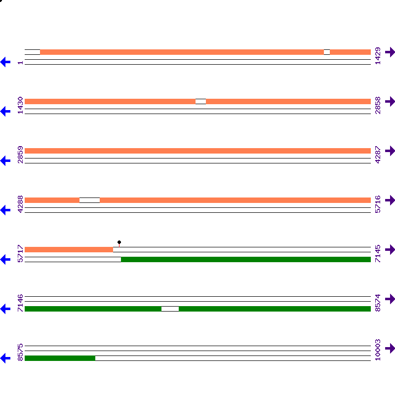 Genome View