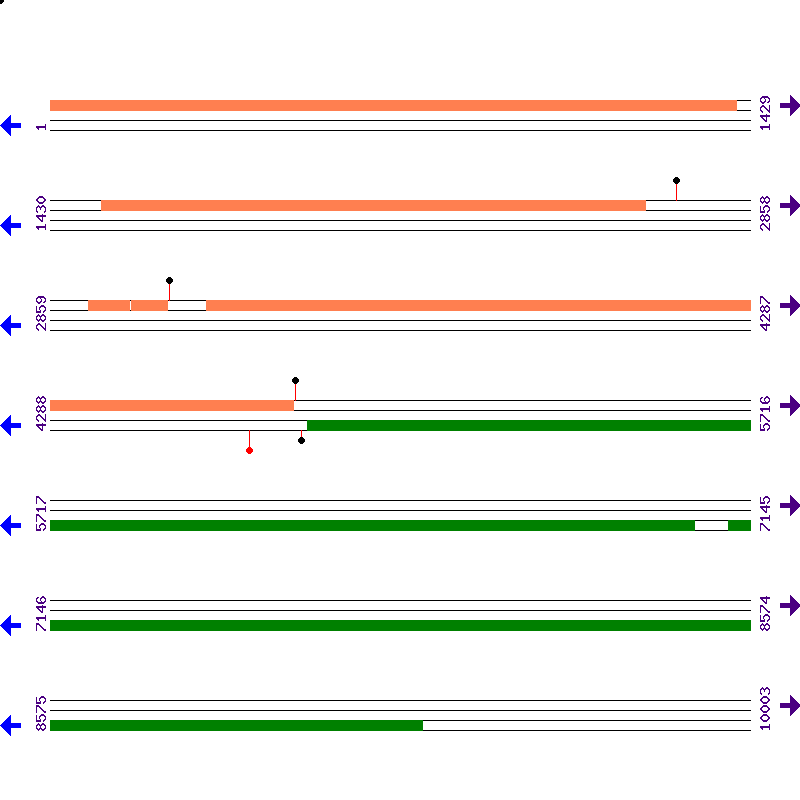 Genome View