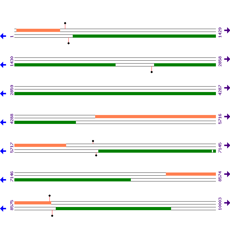 Genome View