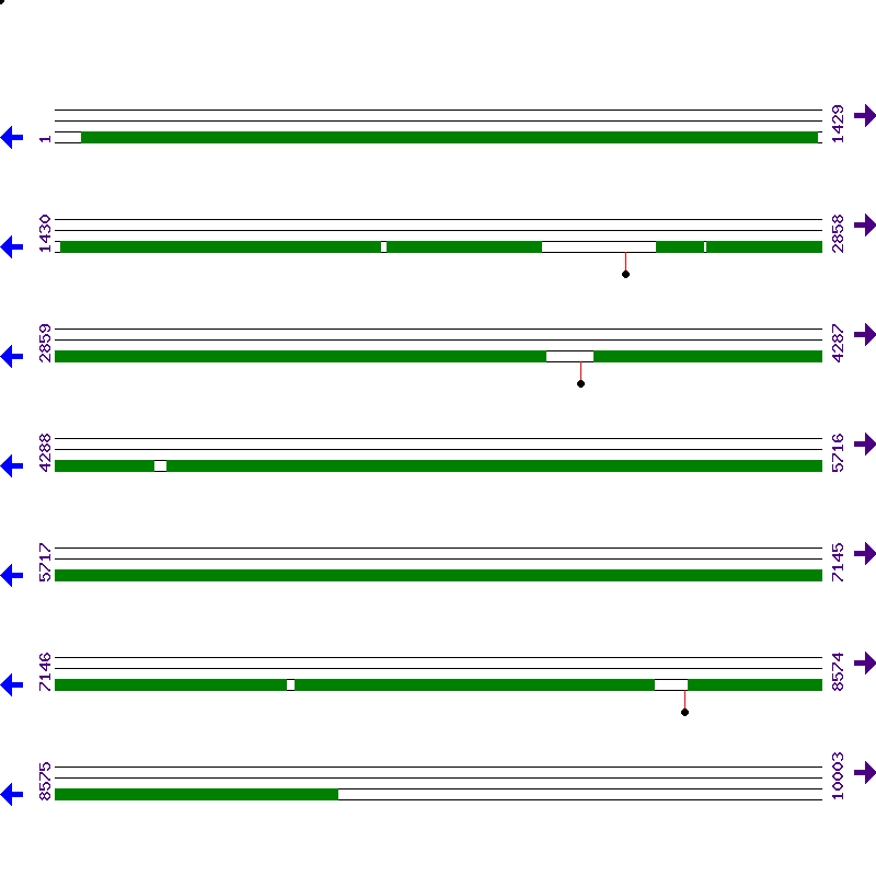 Genome View