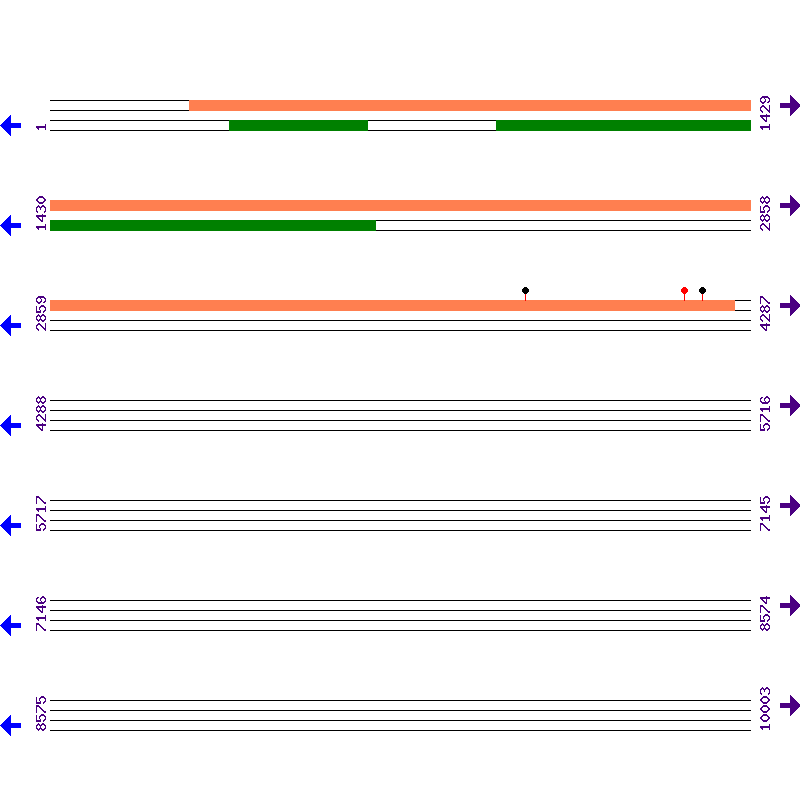 Genome View