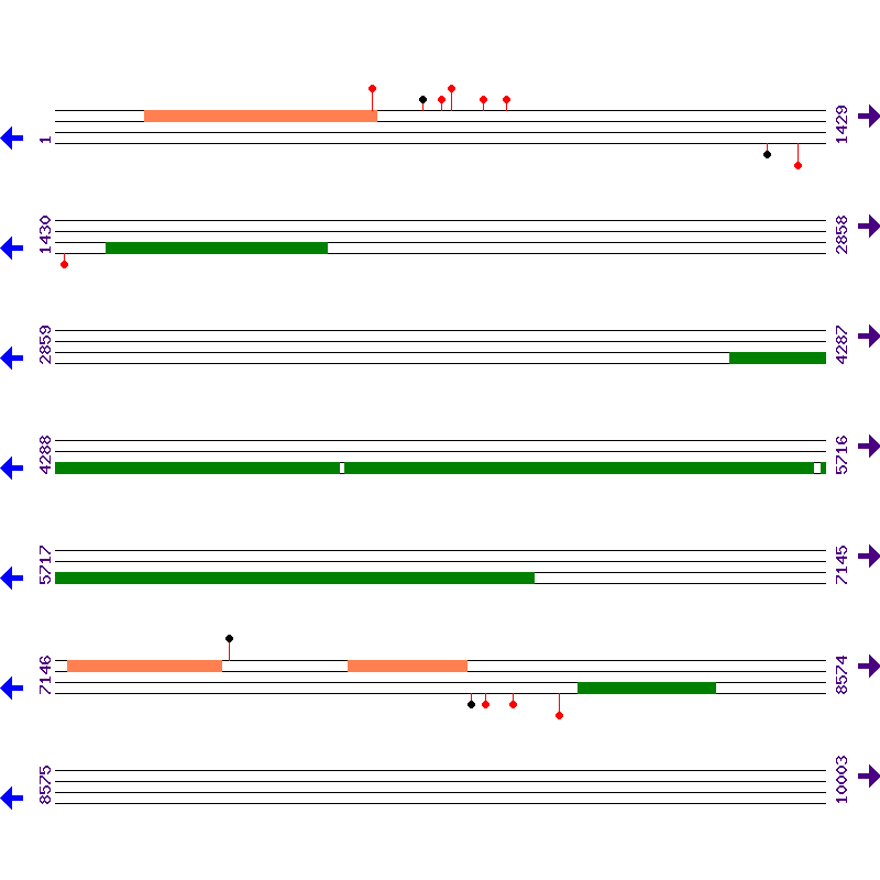 Genome View
