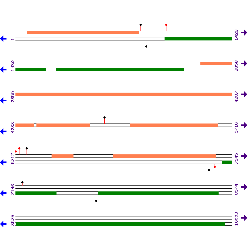 Genome View