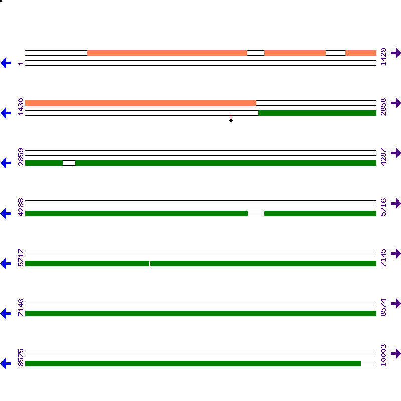 Genome View