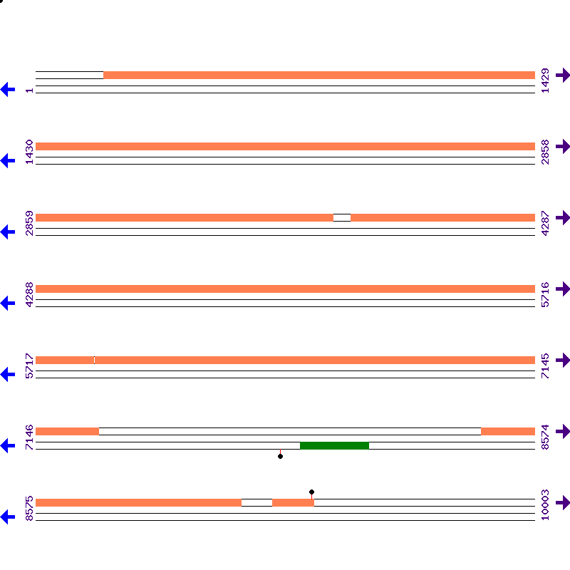 Genome View