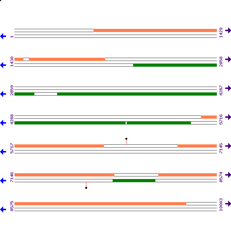 Genome View
