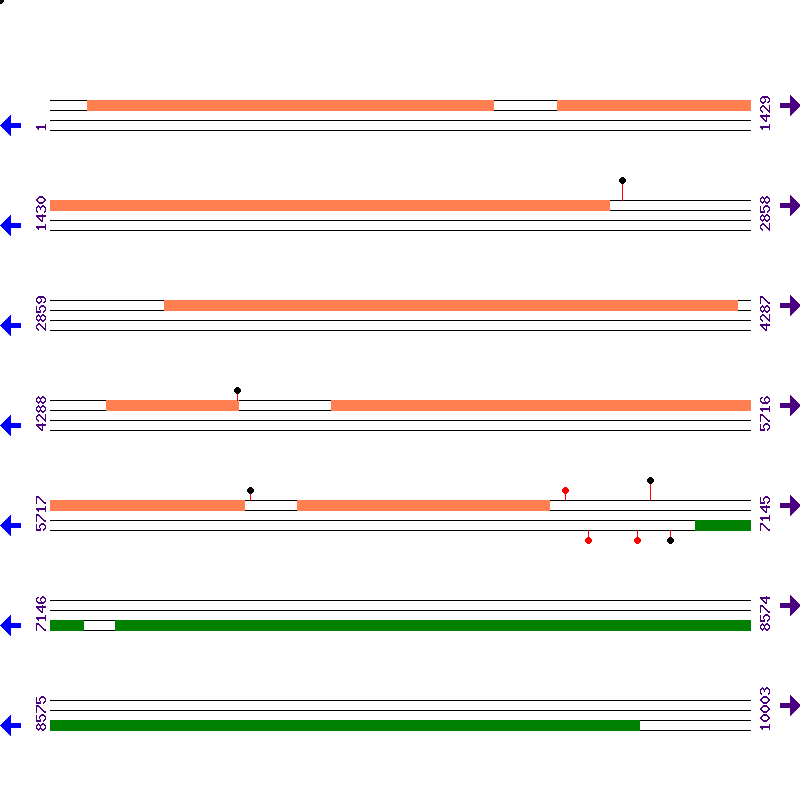 Genome View
