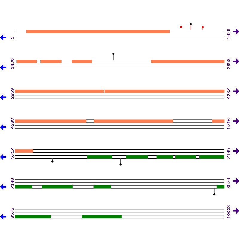 Genome View