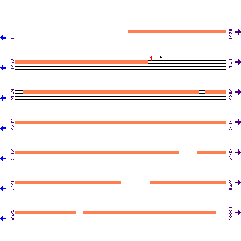 Genome View