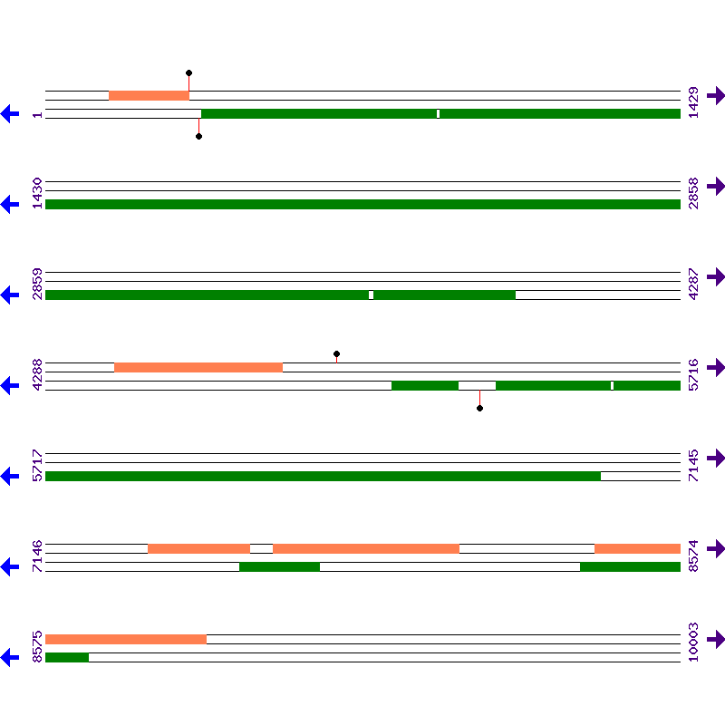 Genome View