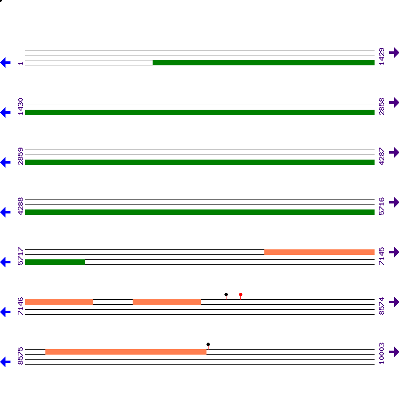 Genome View