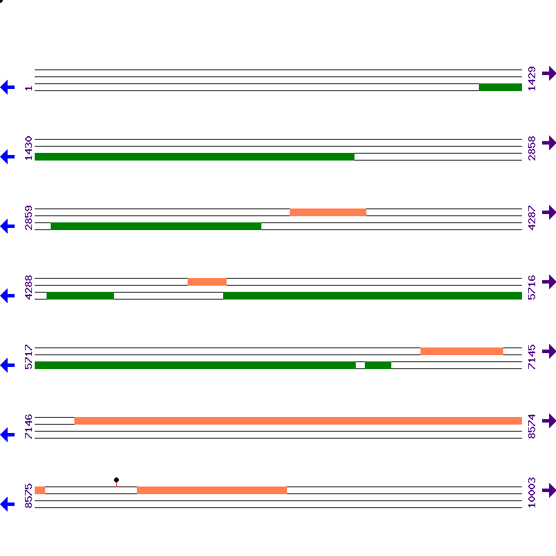 Genome View