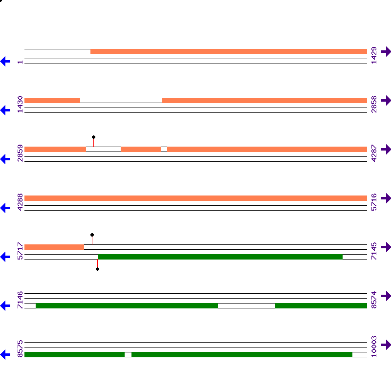 Genome View