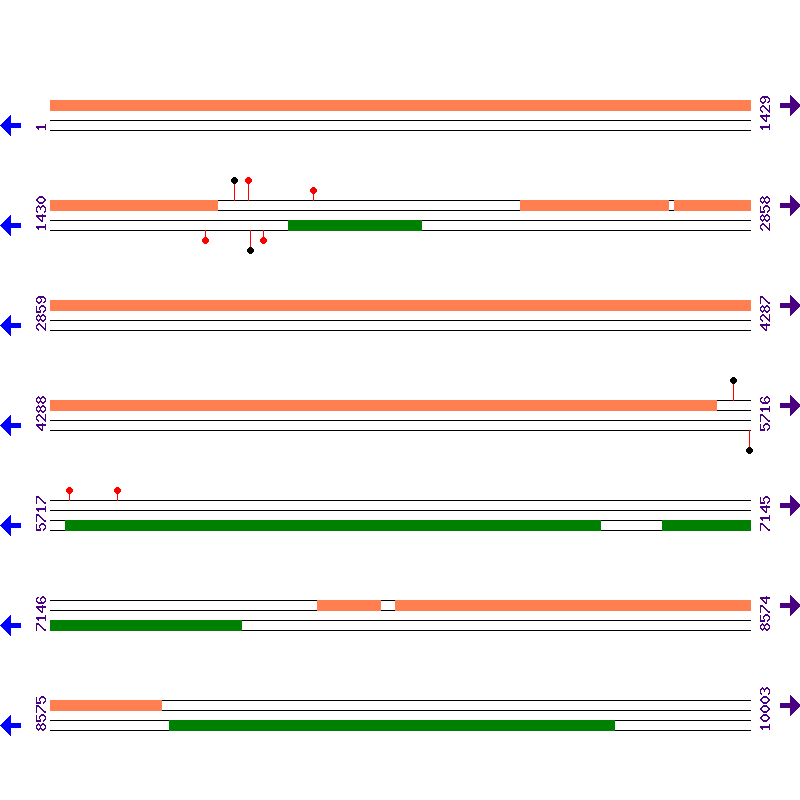 Genome View