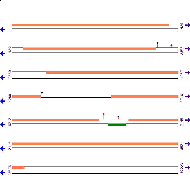 Genome View