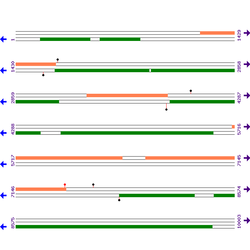 Genome View