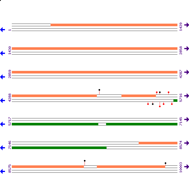 Genome View