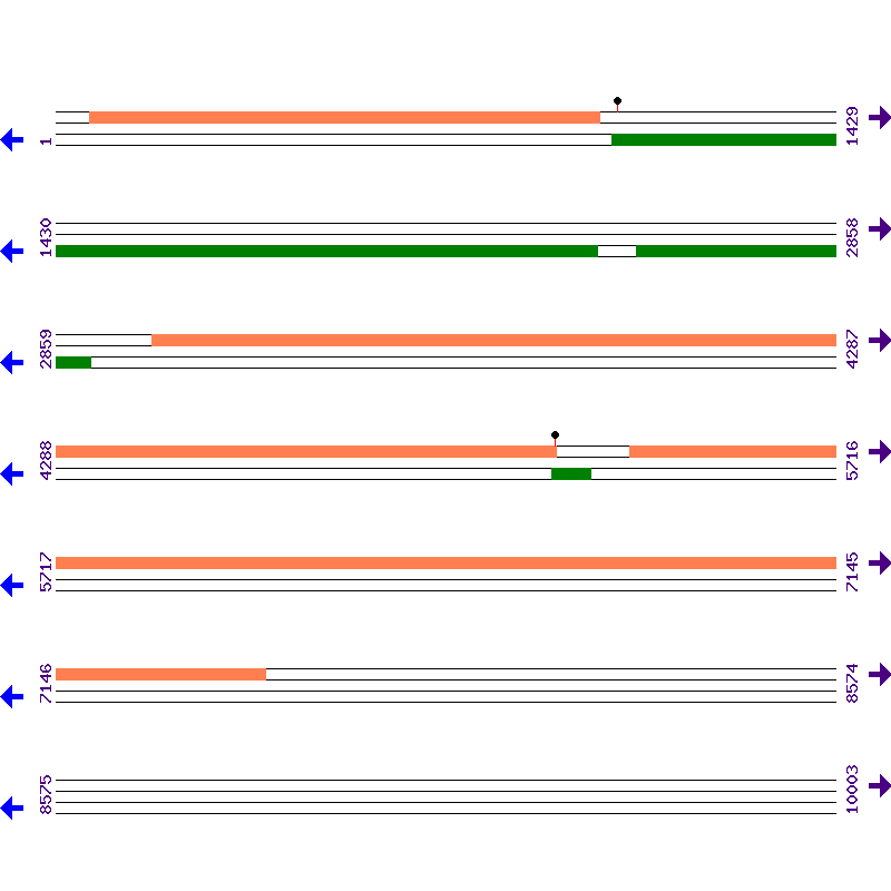 Genome View