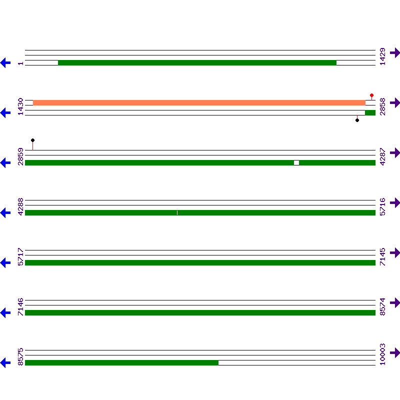 Genome View