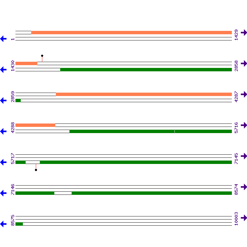Genome View